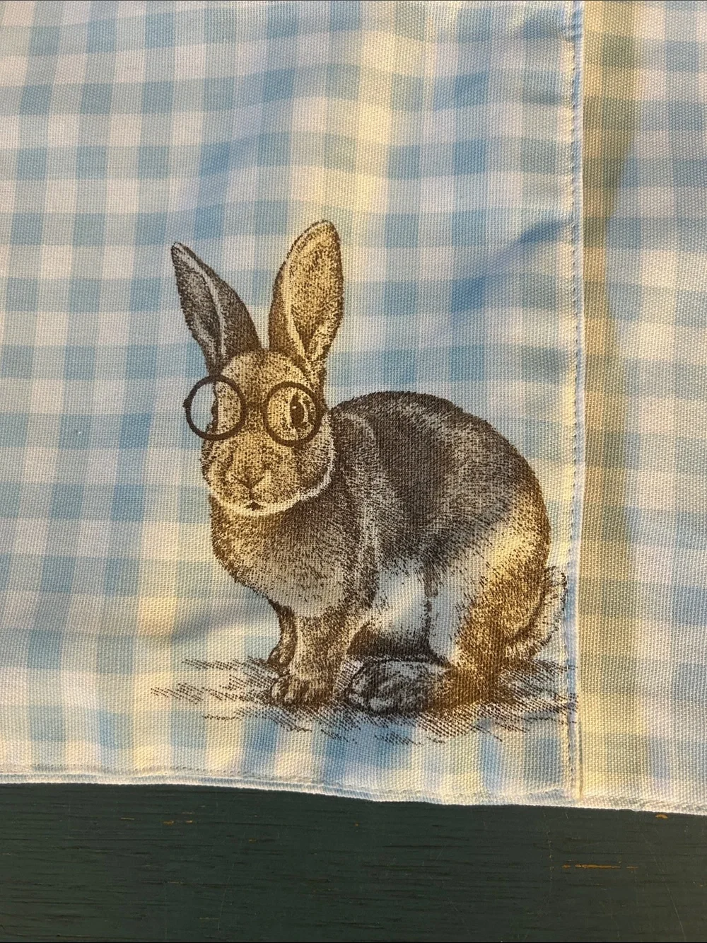 Bunny Tales Blue & White Gingham Bunny Print Table Placemats - Set of 2 | EUC
